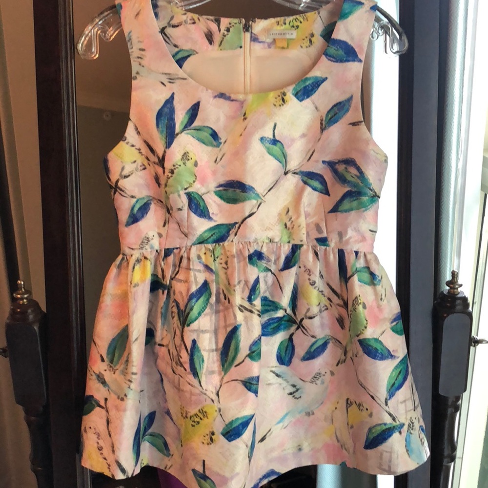 Leifsdottie peplum top